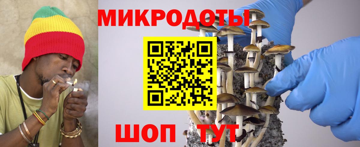 Галлюциногенные грибы GOLDEN TEACHER Партизанск
